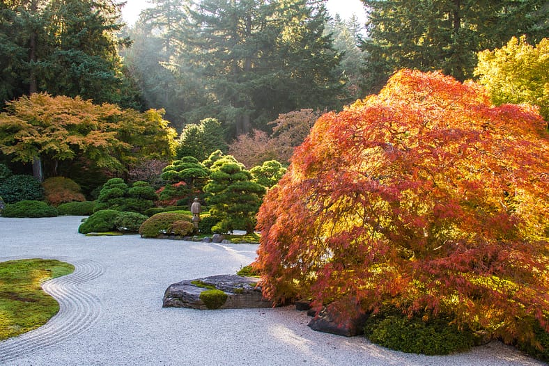 Fall Color Updates 2022 – Portland Japanese Garden